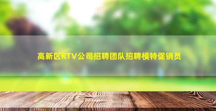 高新区KTV公司招聘团队招聘模特促销员